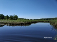 Поселок Красногор